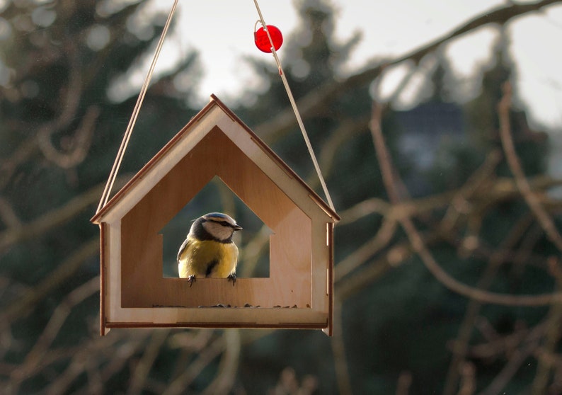 Window Bird Feeder, DIY Bird Feeder, Bird Wood House, Kids DIY, Hanging Bird Feeder, Wood Bird feeder, Bird house, Bird watching, Birding, front entarnce HOUSE