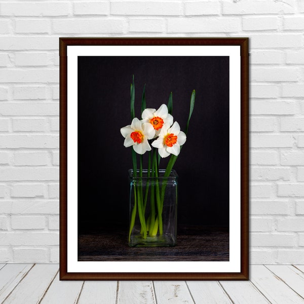 White Daffodils on Black Background Spring Flower Photography Print Digital Printable Fine Art Nature Photograph Home Wall Art Decor Picture