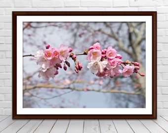 Pink cherry blossom photography print digital printable fine art nature photograph wall art decor