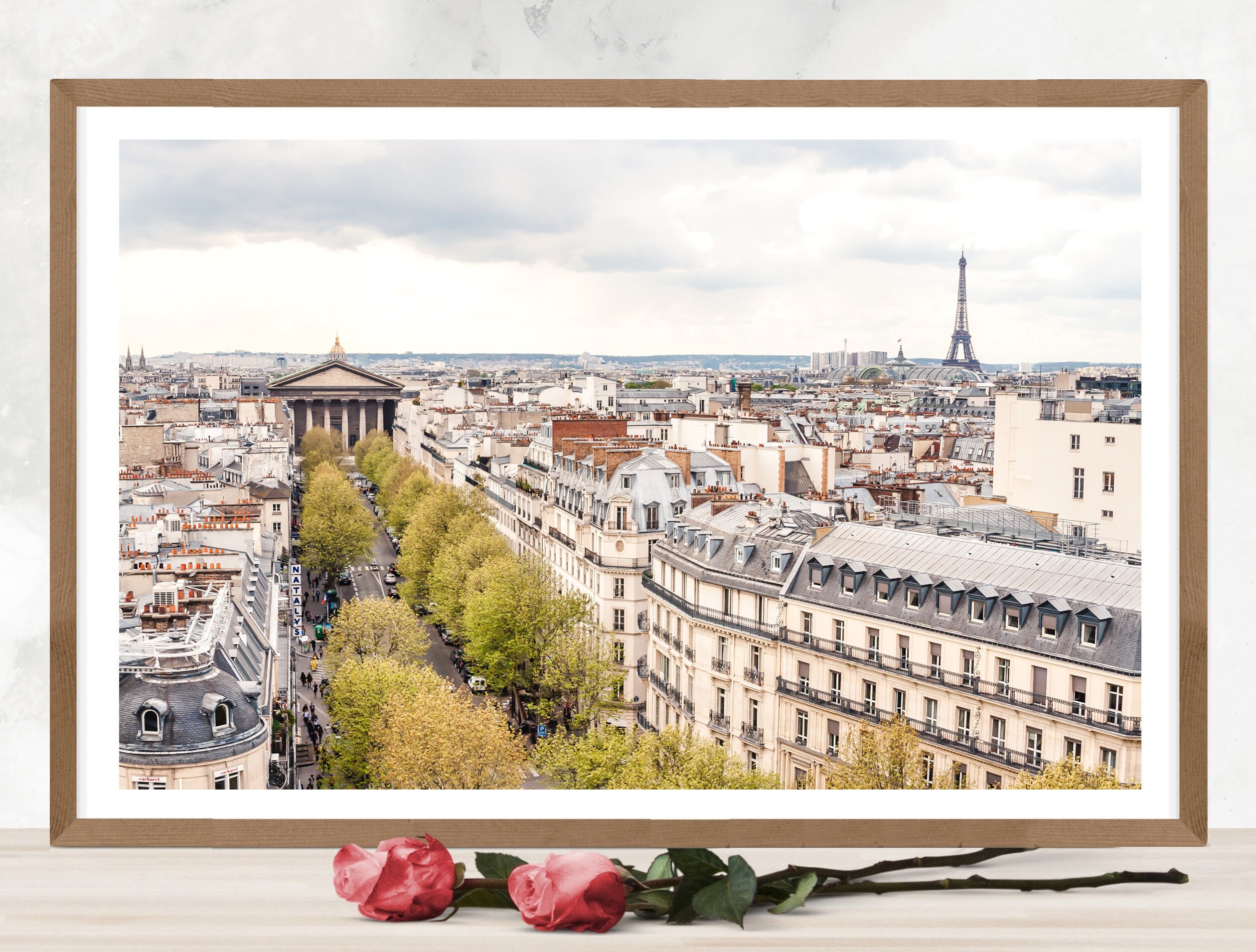 Vintage Panoramic Paris Print - Etsy