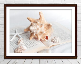 Seashell Still Life Photography Print Digital Printable Fine Art Photograph Home Wall Art Decor Bedroom Decor Gift idea Beach Decor