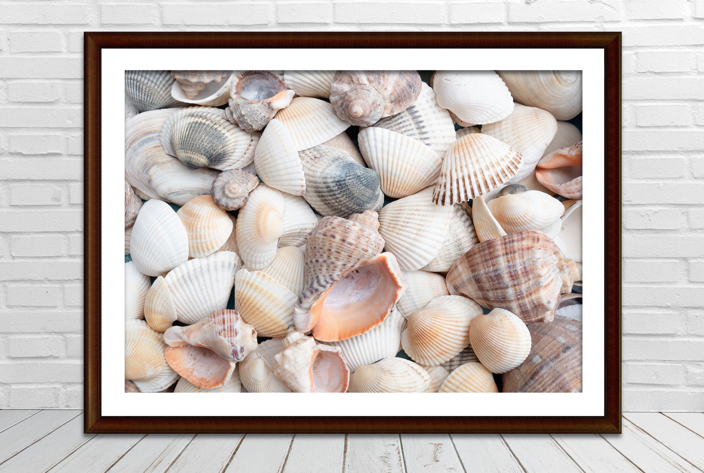 Driftwood and Seashell Wall Hanging, Boho Decor, Sea Shell Art, Beach House  Decor, Wall Art, Sea Shells, Shell Art 