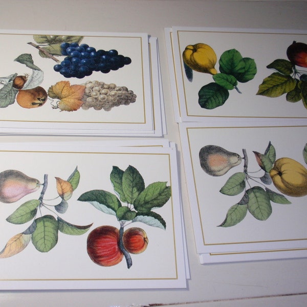 Vintage Winterthur Fruit Museum Cards Boxed Set