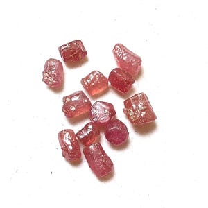 Peut inclure: Un ensemble de onze petites pierres précieuses brutes et non polies, aux nuances variées de rose profond et de rouge orangé. Chaque pierre présente une texture cristalline rugueuse avec des facettes naturelles et des formes irrégulières.