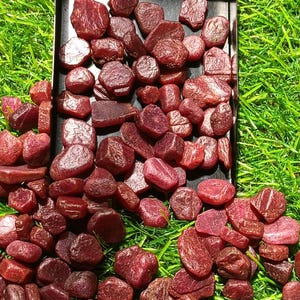 Puede incluir: Una colección de numerosas piedras preciosas de rubí en bruto de color rojo intenso, con formas irregulares y texturas variadas. Las piedras están amontonadas dentro de una bandeja rectangular de metal negro y esparcidas sobre el césped.