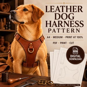 Leather Dog Harness Pattern, Adjustable Pet Template (Digital Download)