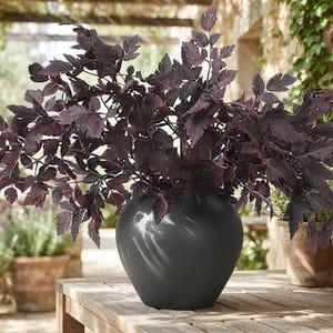 Peut inclure: Un vase en céramique arrondi gris anthracite foncé contient une plante dense et étalée aux feuilles dentelées violet foncé. Le vase présente une finition mate lisse et un corps large et bulbeux qui s'affine vers la base.