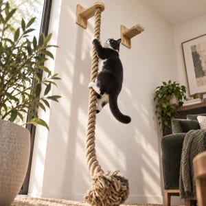 May include: A thick, natural-coloured jute rope climbing toy for cats, suspended from a light-coloured wooden wall-mounted bracket. A black and white cat is shown climbing the vertical rope, which features a frayed, knotted end at the bottom.