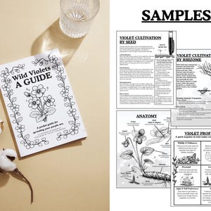 May include: A black and white illustrated guide titled "Wild Violets A GUIDE" with floral border and text. The image includes cotton stems, a glass, and a page of violet cultivation information.