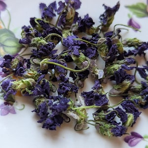 May include: Close-up of dried blue flowers with green stems and buds. The flowers are scattered on a white plate with a floral design. The petals are a deep purple color, and the buds have a light green hue.