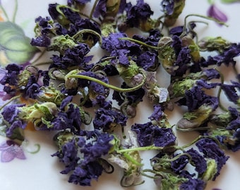 Dried Wild Violet Flowers for Tea, Crafts, Resin, Dye, Sachets, Bath Salts - Buy Now 1 Left
