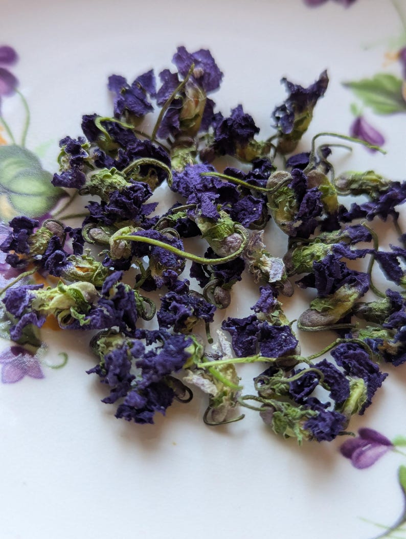May include: Close-up of dried blue flowers with green stems and buds. The flowers are scattered on a white plate with a floral design. The petals are a deep purple color, and the buds have a light green hue.