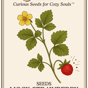 May include: An illustrated seed packet from Velvet Vine Market features a mock strawberry plant. The image shows a yellow flower, green leaves, a red berry, and the text "MOCK STRAWBERRY" and "Duchesnea indica". The packet has a cream-colored background.