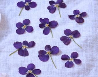 Pressed Wild Violet Flowers, Real Dried Purple Violets for Crafts, Resin Art, Scrapbooking, Stationery, Wedding Decor, Viola Sororia