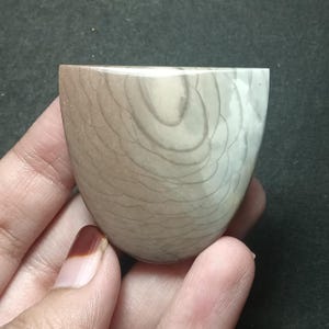 May include: A polished, semi-circular cabochon stone featuring a smooth surface with a distinct pattern of concentric, overlapping tan and beige arcs that resemble scales or wood grain, transitioning to a lighter cream color on the right side.
