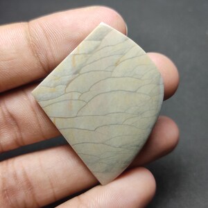 May include: A polished, shield-shaped cabochon gemstone featuring a smooth, light beige surface with intricate, dark gray, flowing, vein-like patterns that resemble topographical lines or layered sediment across the entire face of the stone.