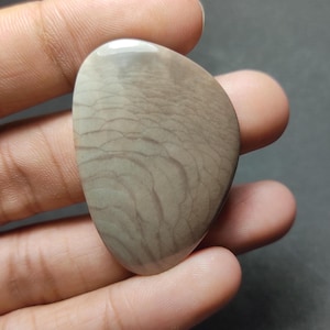 May include: A smooth, polished, teardrop-shaped cabochon stone featuring a light beige and taupe color palette. The surface displays a distinct, intricate pattern of fine, dark brown lines that resemble delicate, overlapping organic scales.