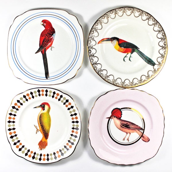 Beautiful Birds plate set