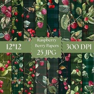 Puede incluir: Una colección digital de 25 papeles Raspberry Berry con varios patrones de frambuesas rojas, hojas verdes y fondos de cuadros verde oscuro. El texto central dice Raspberry Berry Papers 12*12 300 DPI 25 JPG en una etiqueta de color verde salvia.