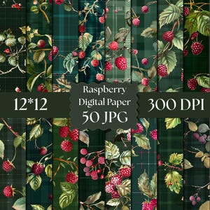May include: A collection of digital paper patterns featuring red raspberries and green leaves on dark green plaid backgrounds. The text reads Raspberry Digital Paper, 12*12, 300 DPI, 50 JPG. These designs display botanical illustrations of fruit.