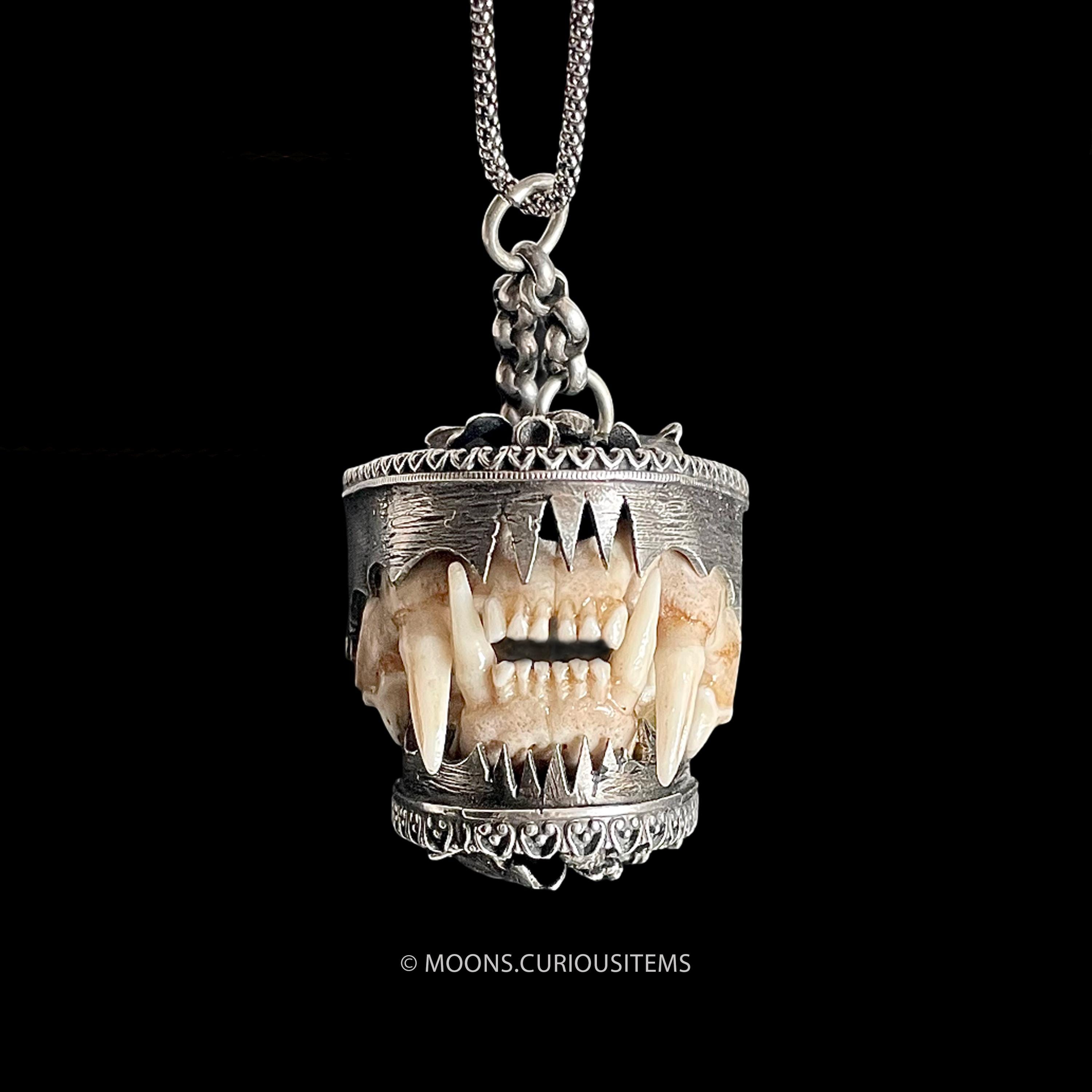 シャチの牙製 印籠 根付Antique Orca Tooth Inro Fierce Large Antique Teeth Locket- Large Charivari-set in Silver