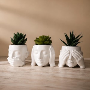 May include: Three white ceramic planters shaped like human heads, each featuring a different gesture: one covering its mouth, one covering its ears, and one covering its eyes. Each planter holds a small green succulent plant on top of the head.
