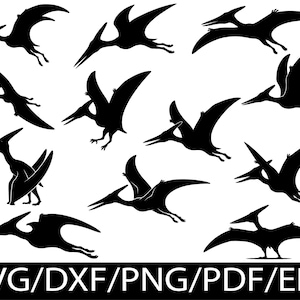 Peut inclure: Une collection de douze silhouettes noires de ptérodactyles dans diverses poses de vol et debout, disposées en grille. Le bas de l'image présente le texte blanc SVG/DXF/PNG/PDF/EPS sur un fond rectangulaire noir uni.