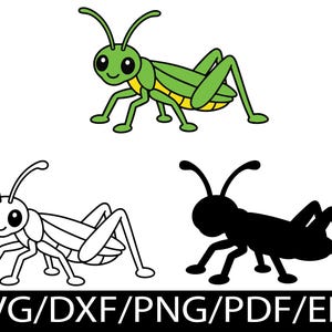 Puede incluir: Un gráfico digital que presenta tres versiones de un saltamontes de dibujos animados: una a todo color con tonos verdes y amarillos, una como dibujo lineal en blanco y negro, y una como silueta negra sólida. El texto SVG/DXF/PNG/PDF/EPS está abajo.
