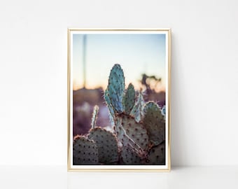 Phoenix Cactus in 35mm Film, Photographic Print on Matte 100% Cotton Paper