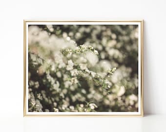 Little White Flowers, Macro, Photographic Print on Matte 100% Cotton Paper