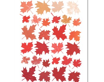 Maple Leaves - Greeting card - Fall leaves card