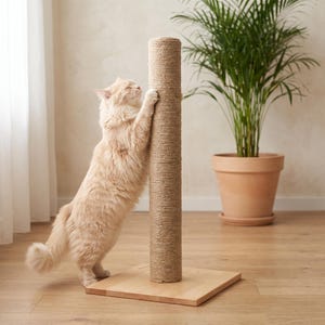 Rascador para gatos de madera maciza de haya / Altura total de 83 cm (32,7 pulgadas) / Rascador de yute / Muebles modernos para gatos grandes