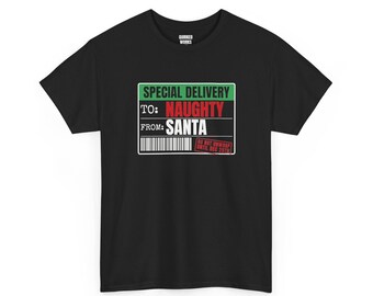 To Naughty From Santa Special Delivery Shirt, Funny Christmas Tee, Holiday Gift for Her or Him, Xmas Party Outfit, Family Christmas Matching