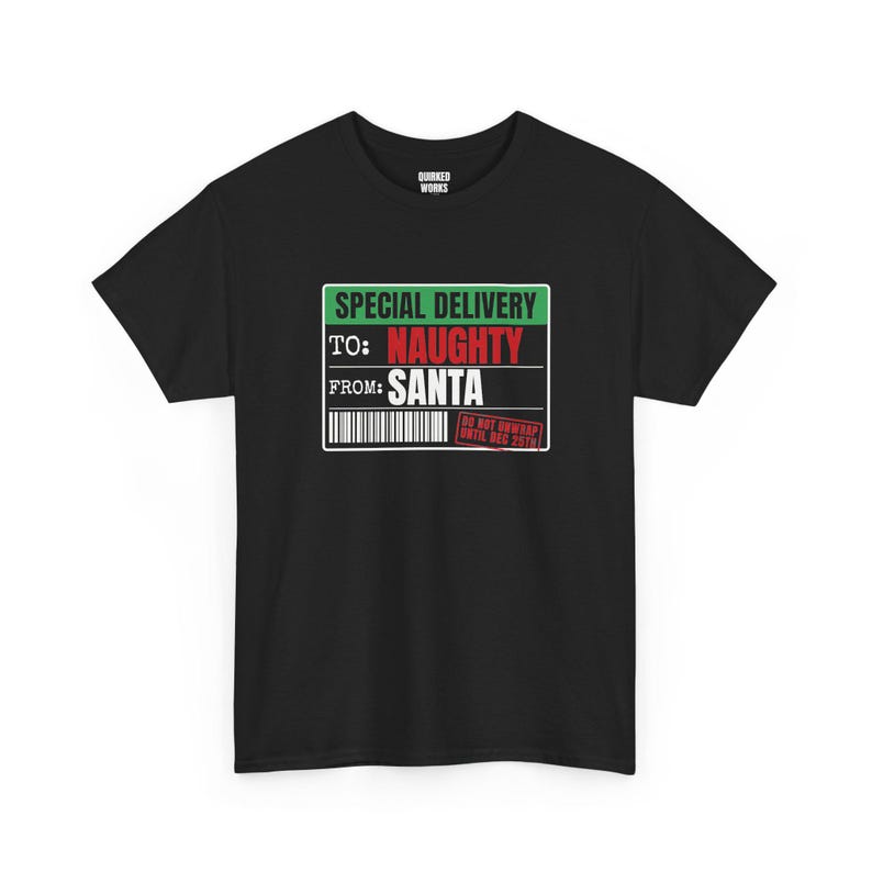 To Naughty From Santa Special Delivery Shirt, Funny Christmas Tee, Holiday Gift for Her or Him, Xmas Party Outfit, Family Christmas Matching image 1