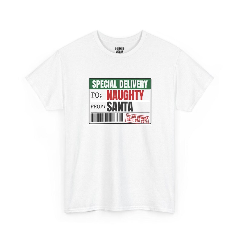 To Naughty From Santa Special Delivery Shirt, Funny Christmas Tee, Holiday Gift for Her or Him, Xmas Party Outfit, Family Christmas Matching image 2