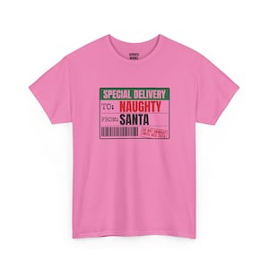 To Naughty From Santa Special Delivery Shirt, Funny Christmas Tee, Holiday Gift for Her or Him, Xmas Party Outfit, Family Christmas Matching image 7