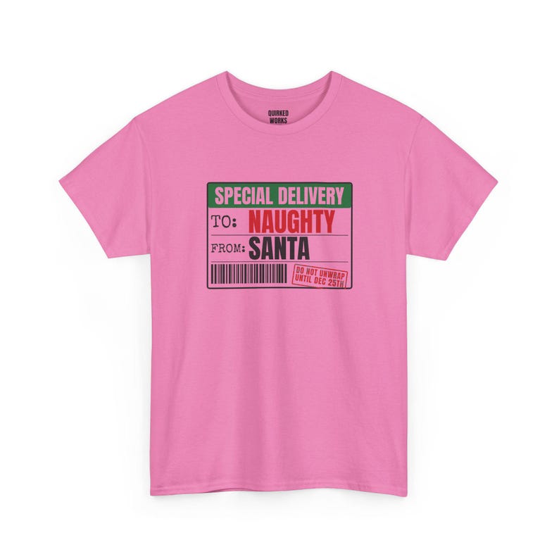 To Naughty From Santa Special Delivery Shirt, Funny Christmas Tee, Holiday Gift for Her or Him, Xmas Party Outfit, Family Christmas Matching image 7