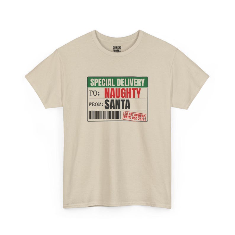 To Naughty From Santa Special Delivery Shirt, Funny Christmas Tee, Holiday Gift for Her or Him, Xmas Party Outfit, Family Christmas Matching image 5