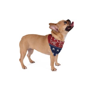 I Plead the 5th Dog Bandana, Funny Pet Bandana, Tie On Dog Scarf image 8