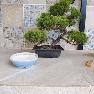 Pot à bonsaï en céramique bleu clair | Petit pot de fleurs fait main
