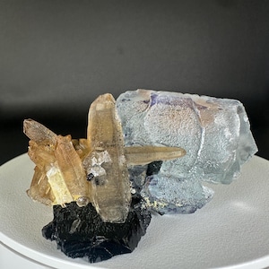 May include: A mineral specimen featuring a cluster of translucent, amber-colored quartz crystals attached to a dark, opaque black base, positioned next to a larger, semi-transparent, pale blue fluorite crystal with a textured surface.