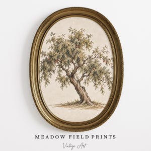 May include: An oval-shaped, ornate gold frame containing a print of a tree with green leaves and small red fruits. The tree has a textured, gnarled trunk and is set against a light, off-white background. The text MEADOW FIELD PRINTS Vintage Art appears below.