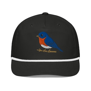 May include: A black baseball cap featuring an embroidered bluebird with a bright blue head and wings, an orange chest, and a white belly, perched on a brown branch. The cap includes a white rope detail across the base of the front panel.