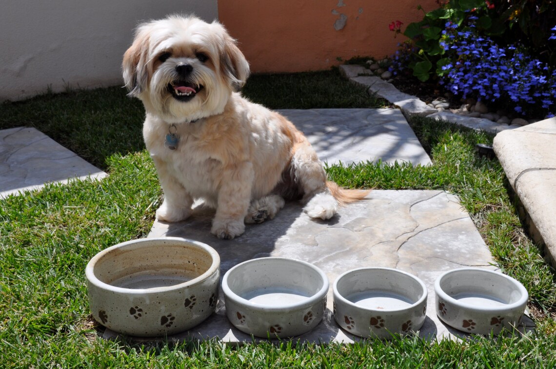 Small ceramic dog bowl with paw prints white pottery dog Etsy