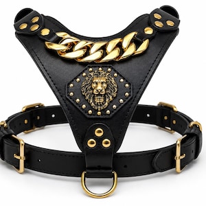 May include: A black leather pet harness featuring a gold-tone metal chain across the chest, a central hexagonal emblem with a lion head relief, and gold-tone metal studs, buckles, and a D-ring attachment point for a leash on the bottom strap.
