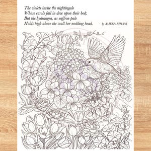 Op de afbeelding: Een zwart-wit kleurplaat met een vliegende nachtegaal boven een tuin vol hortensia's, tulpen en ochtendglorie. De tekst luidt: The violets invite the nightingale Whose carols fall in dew upon their bed; But the hydrangea, as saffron pale Holds high above the wall her nodding head. - by AMEEN RIHANI