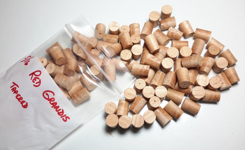 Lyptus Tapered Wood plugs Red Grandis