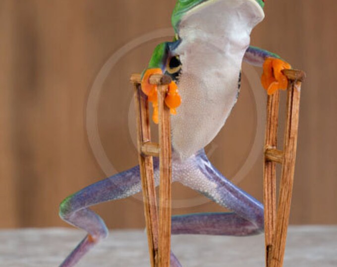 This item is unavailable Etsy