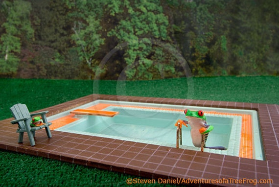 Grenouilles Natation En Piscine Drole D Image De Etsy Grenouilles Natation En Piscine Drole D Image De Etsy
