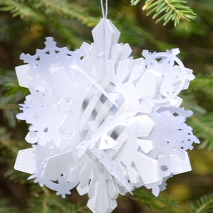 Boule de neige carte/ornement